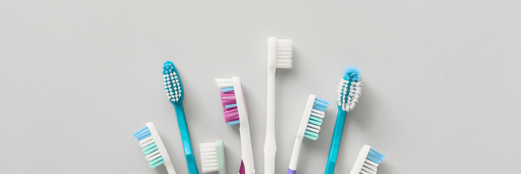 Tooth brushes at an office used by a pediatric dentist in Fort Worth Texas